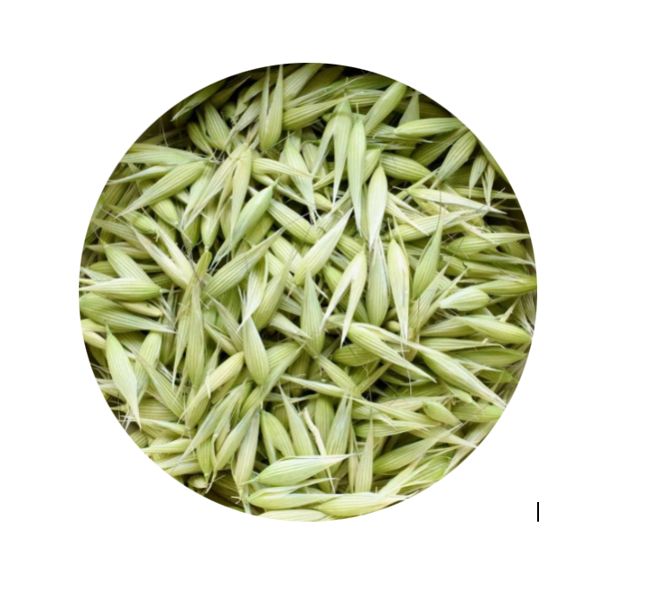 Oat Tops - Organic